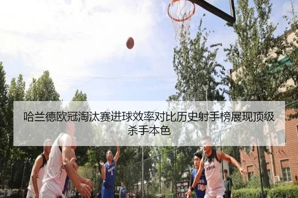 img_1780301746354_1189_1_429.jpg