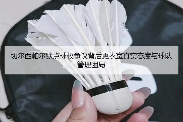 切尔西帕尔默点球权争议背后更衣室真实态度与球队管理困局